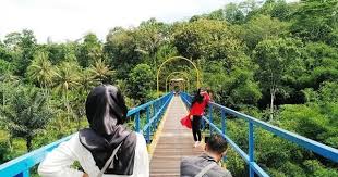 Ternyata, mimpi berenang di kolam renang pertanda kabar baik akan datang, simak di 7 Tempat Wisata Di Pringsewu Lampung Yang Ngehits Dan Keren Jelajah Lampung