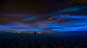 Waterlicht An Immersive Light Installation Conveys The Power And Poetry Of Water Dutch Artists Installation Art Light Installation