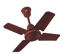 We did not find results for: Buy Orpat Air Amber 850rpm Brown Ceiling Fan Sweep 600 Mm Online At Best Price On Moglix