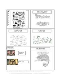 Camo patterns hunting clothes combat gear camo gear camouflage pattern tactical clothing military fashion camouflage. Camouflage Coloring Page Worksheets Teaching Resources Tpt