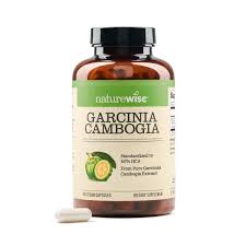 Image result for Garcinia volkensii