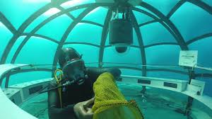 Orto Di Nemo Nemo S Garden Project By Ocean Reef Ocean Reef Group