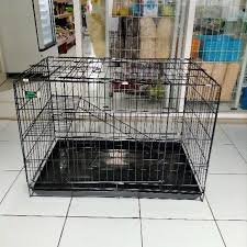 Check spelling or type a new query. Harga Kandang Kucing Besar Terbaik Hobi Koleksi Agustus 2021 Shopee Indonesia