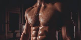 The muscular system contains more than 600 muscles that work together to enable the full functioning of the body. Chest Anatomy What Are The Muscles And What Do They Do Openfit