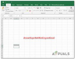 Fix Arrow Keys Not Working In Excel Appuals Com