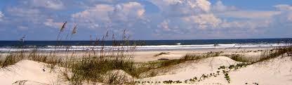 Maybe you would like to learn more about one of these? Cumberland Island National Seashore U S National Park Service