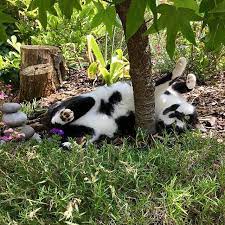 Pin On Garden Ideas