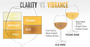 Deductive Wine Tasting Basics 201 The Appearance Just