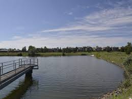 Summer takes shape at the Independence School