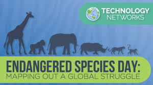 Endangered species may be at risk due to factors such as habitat loss, poaching and invasive species. Endangered Species Day Mapping Out A Global Struggle Technology Networks