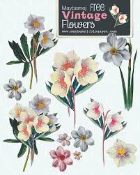 Free Maybemej Vintage Flower Digital Freebie Free Printable Art Flower Printable Vintage Flowers