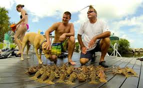 Removing the lobster's tail in the water is illegal in florida. Lobster Charters In Key West Tailing Water Expeditions