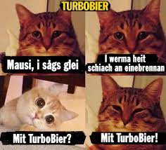 Folge turbobier + offizielle turbobier playlist. Turbobier Katzen Wurden Husn Saufn Www Turboshop Shop Facebook