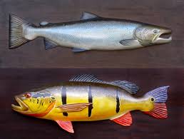 As Seen in ForbesLife