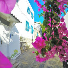 We did not find results for: Bodrum Bodrum Panosundaki Pin