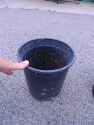 For most growers, it has replaced the one gallon pot. Plant Container Sizes And Descriptions
