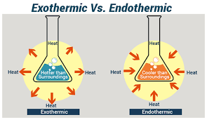 Pin By Cwilshu1 On Sw6 2019 20 Jan 20 Exothermic Reaction Chemical Equation Chemistry