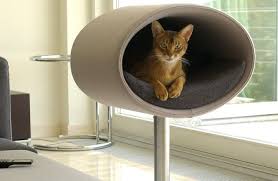Dunyanin En Pahali Ve Ilginc Kedi Evleri Kedi Evi Evcil Hayvan Yataklari Kedi