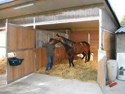 Maybe you would like to learn more about one of these? Hartung1 Jpg 800 600 Dream Horse Barns Horse Shelter Horses
