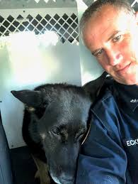 Retired Middletown Police K-9 Nyxx Passes Away