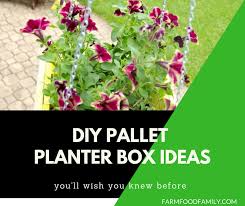 Spacing the holes about every 6″ or so. 35 Creative Diy Pallet And Wood Planter Box Ideas For Your Garden Farmfoodfamily