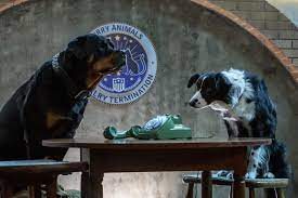 First Clip Photos From Cats Dogs 3 Moviehole