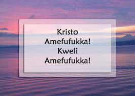 Mar 07, 2019 · 17 funny dating profiles that are hilarious (and maybe genius). Funny Quotes In Swahili Brian Quote