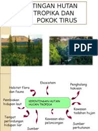 Anda bisa mengunjungi taman ini pada bulan maret dan april karena pada bulan ini hujan melambat tetapi musim puncak belum tiba. Kepentingan Hutan Hujan Tropika Dan Hutan Pokok Tirus