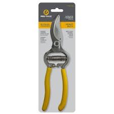 Image result for Pseudomussaenda stenocarpa