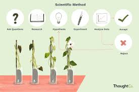 6 steps of the scientific method