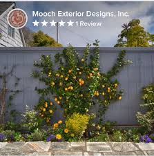 See more ideas about fruit trees, espalier fruit trees, fruit garden. Espalier Orange Tree Espalier Fruit Trees Side Garden Ideas Fruit Trees