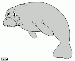 We did not find results for: Vaquita Marina Para Colorear Vaquita Marina Para Imprimir