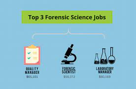 Maybe you would like to learn more about one of these? What Can I Do With A Bachelor S In Forensic Science Degree Bachelors Degree Center