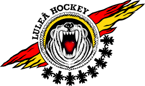 Sc bern follow the champions hockey league: An Introduction To The Swedish Hockey League Eyes On The Prize