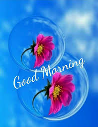 Check spelling or type a new query. Pin Von Thyagaraj B Auf Good Morning Guten Morgen Gruss Guten Morgen Morgen Spruche