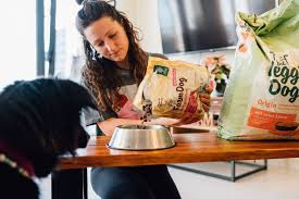 Während die rüden bis zu 68 cm groß werden können, erreichen hündinnen meist nur eine größe von bis zu 63 cm. Welpenfutter Auf Erwachsenenfutter Umstellen So Geht S