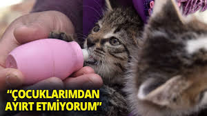 Evlerini Ve Gonullerini Pamuk Ile Sahine Actilar Youtube