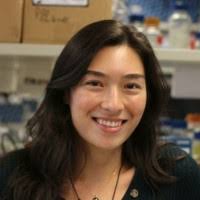 300+ "Renø" profiles