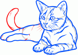 It may be downloaded and printed for personal and educational purposes only. How To Draw A Cat Cat Drawing Tutorial Cat Sketch Cat Drawing