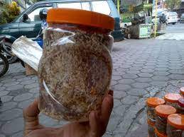 Ada beberapa cara ternak kroto yang dapat dilakukan. Cara Beternak Kroto Bagi Pemula Cara Budidaya Telur Kroto