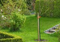 Du kannst ja archaische obstbäume pflanzen, wie adam und eva verzückt um sie tanzen. Obstbaum Pflanzen In 6 Schritten Obi Anleitung