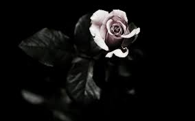Aesthetic Black And White Flower Background Awesome 50 Breathtaking Dark Fantasy Aesthetics Photo Ideas Dark Flowers Magic Aesthetic Flower Backgrounds
