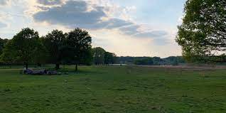 Friars lane car park, richmond between 8am and 9.30am and between 5.30pm and 6.30pm only. Der Beste Richmond Park Insider Guide 2021