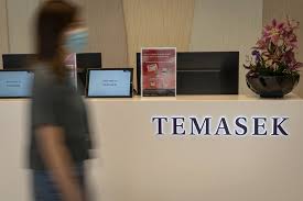 Temasek is an investment company headquartered in singapore with a multinational staff of over 800 people. Singapore S Temasek Now Has Its Own Startups