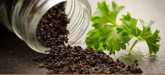 Best spices brand names ideas. 503 Best Catchy Spices Business Names Ideas Brandbookcloud