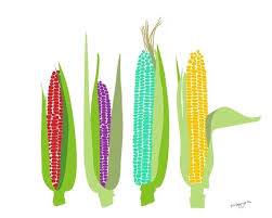 Kitchen Wall Decor Corn Art Corn Print Vegetable Art Food Etsy Colorful Kitchen Art Colorful Floral Art Kitchen Art