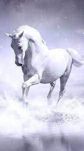 So, let's take a quick look at the best wallpaper apps for android! Free Horse Wallpapers Mobile Cell Phone Pda Freomob Mobi Horses Horse Wallpaper Beautiful Horses