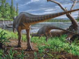 Can we stoop any lower? Nigersaurus Paleontology