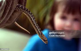 354 Elisabeth And Me Stock Photos, High-Res Pictures, and Images