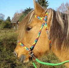 You have added airway sidepull to your cart. Sidepull Bridles And Accessories Horse And Rider Equipment Sieltec Shop